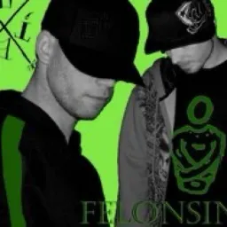 TURTLEFELONSINC