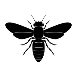 Honey_Bee