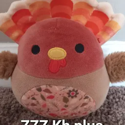 2amKhplus