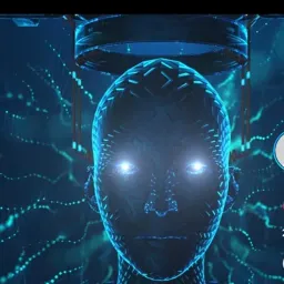 ZeraFluxx