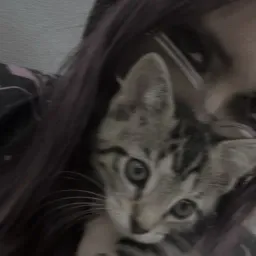 fadedqueen