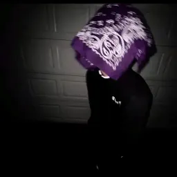 d1shankz