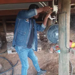 PedroZw263