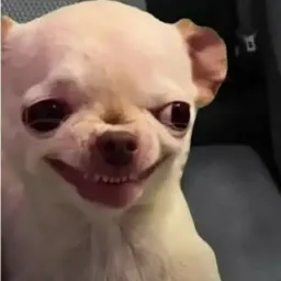 MassivePup