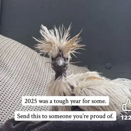 LogicFunky242