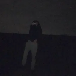 not_lucaspetrey