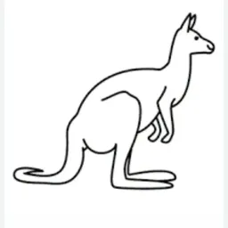 happy_kangaroo176