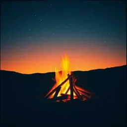 Heart on Fire