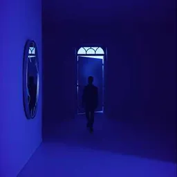 Let Them Out