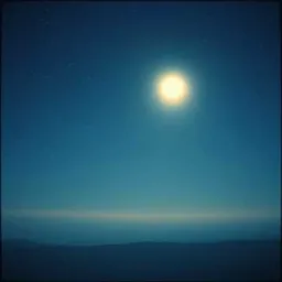 Moonlit Dreams