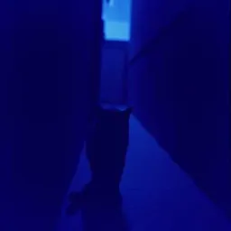 Není cesty zpět