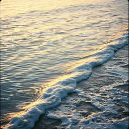 Tides Have Changed