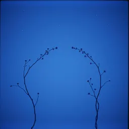 I wish duet
