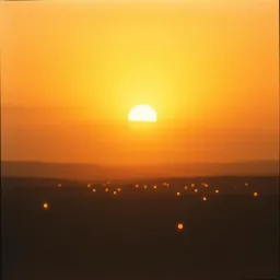 HOŞÇAKAL SEVGİLİM