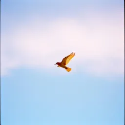 Cinquenta tons de liberdade