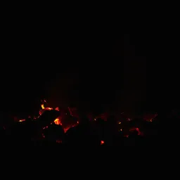 Shadows of the flame