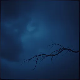 Midnight mind