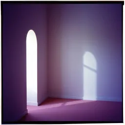 Echoes in the Shadows