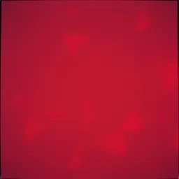 Velvet Fire