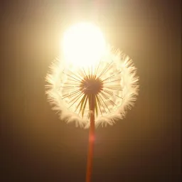Forever is Not Just a Word