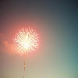 Fireworks in the Sky