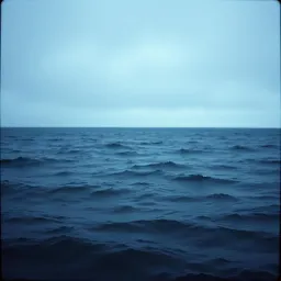 Kiss the Sea