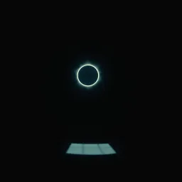 Blackout