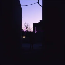 Né dans l'ombre