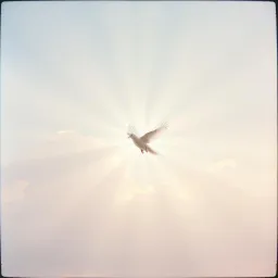 Yahweh Hallelujah