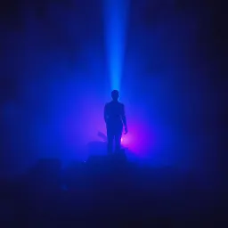 Shadows Inside