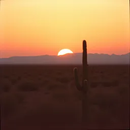 Southsideroots
