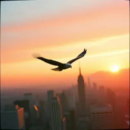 American Dream