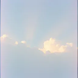Light In The Dark