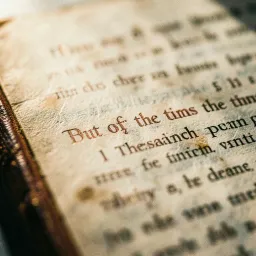 MOVEMENT 4: WATCHFUL, NOT AFRAID (5:1–28)