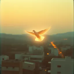 Alma da paz