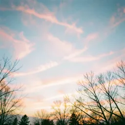 Beneath the Cool Sky