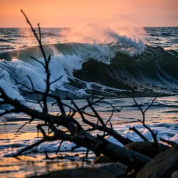 Hurricane