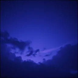 Velvet Night