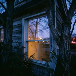 Window pain