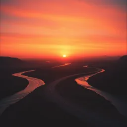 Wandering Roads