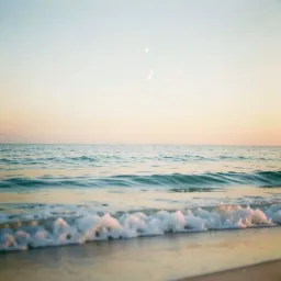 For the love of my life