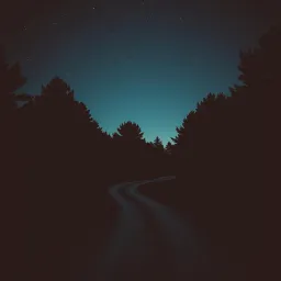 Dirt Road in the Darkness