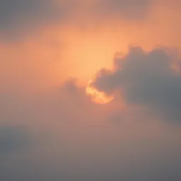Kasih Tanpa Batas