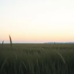 Frieden In Meinem Kopf