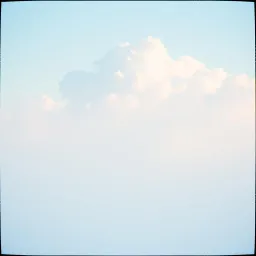 Letting Go and Embracing the Day