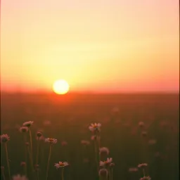 The Wind that Carried Me