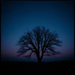 Omen