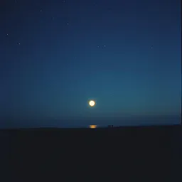 Moonlit Promises