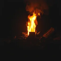 I am a burning log