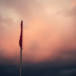 This Old Flag